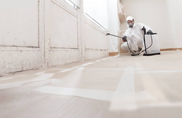 24/7 Emergency Black Mold Remediation experts in Mifflin, PA